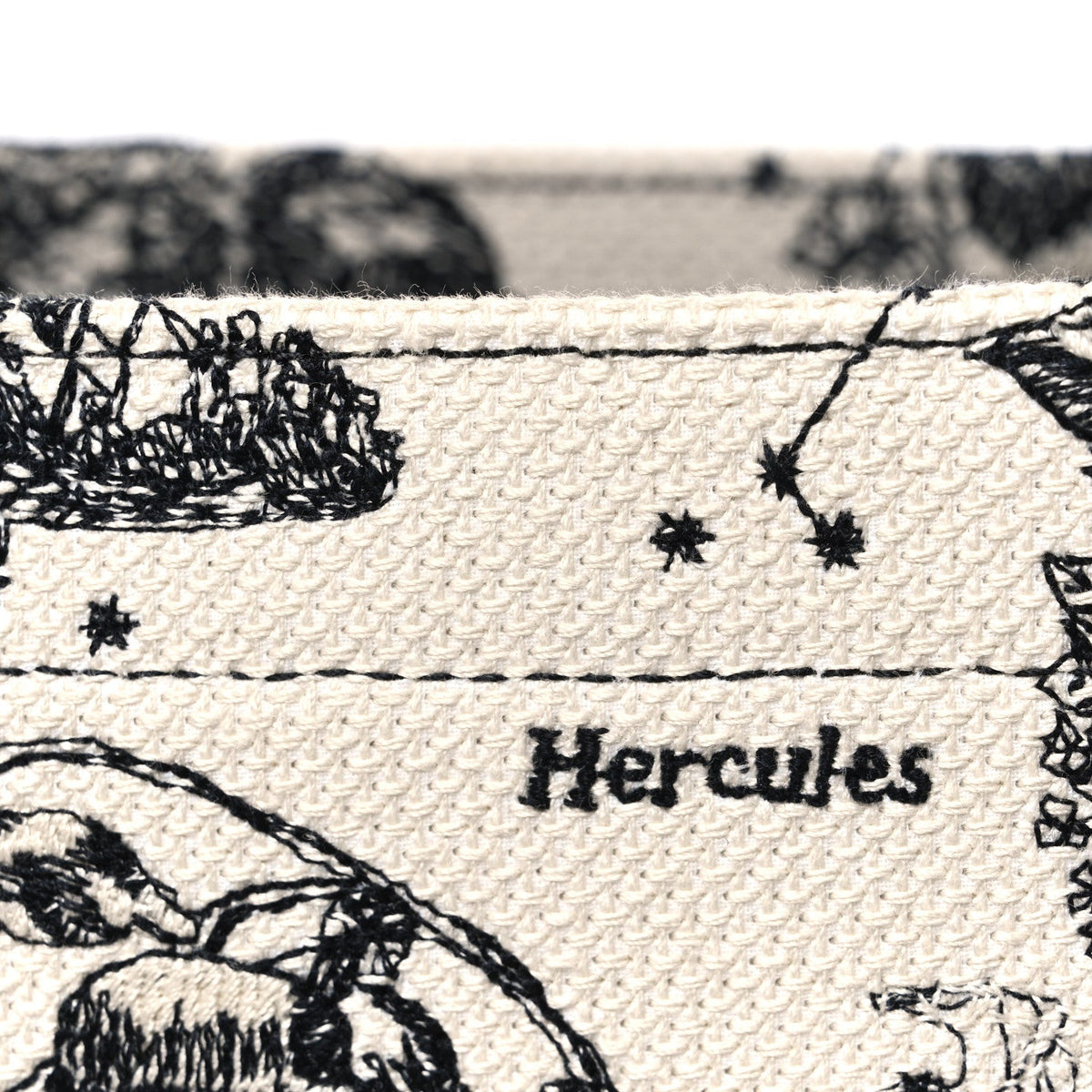 Calfskin Zodiac Toile De Jouy Medium Book Tote With Strap Latte